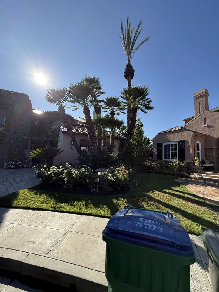 Reliable landscape design experts serving Santa Ana, CA - GreenScape Landscaping