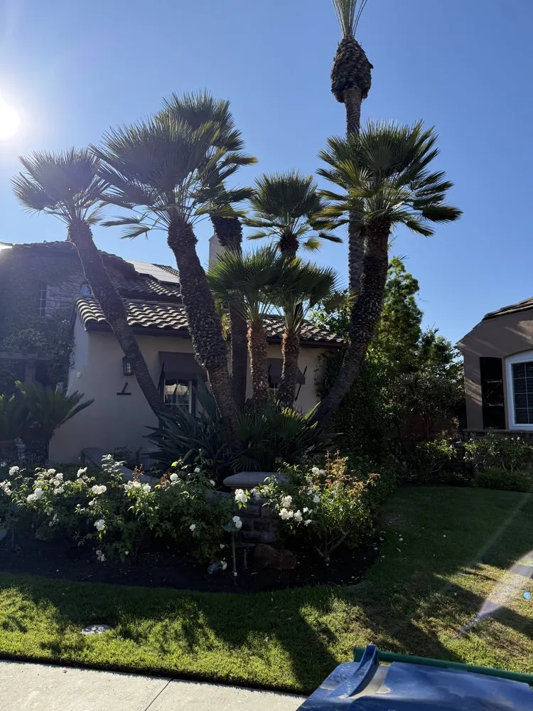 Reliable lawn mowing service for year-round maintenance across Santa Ana, CA - GreenScape Landscaping