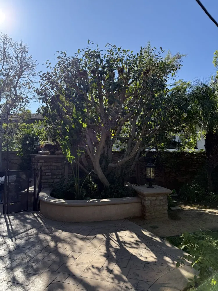 Reliable garden landscaping in Santa Ana, CA by GreenScape Landscaping