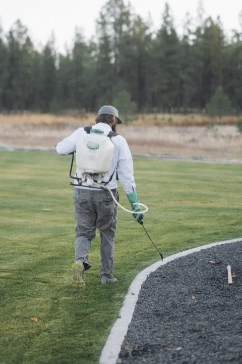 Affordable yard maintenance in Spokane, WA - Greenscape Landscaping
