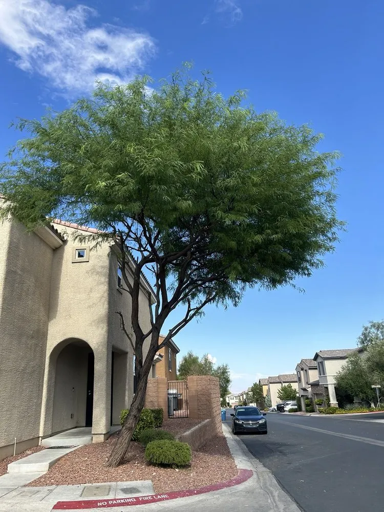 Trusted lawn mowing service in Las Vegas, NV - Greenscape