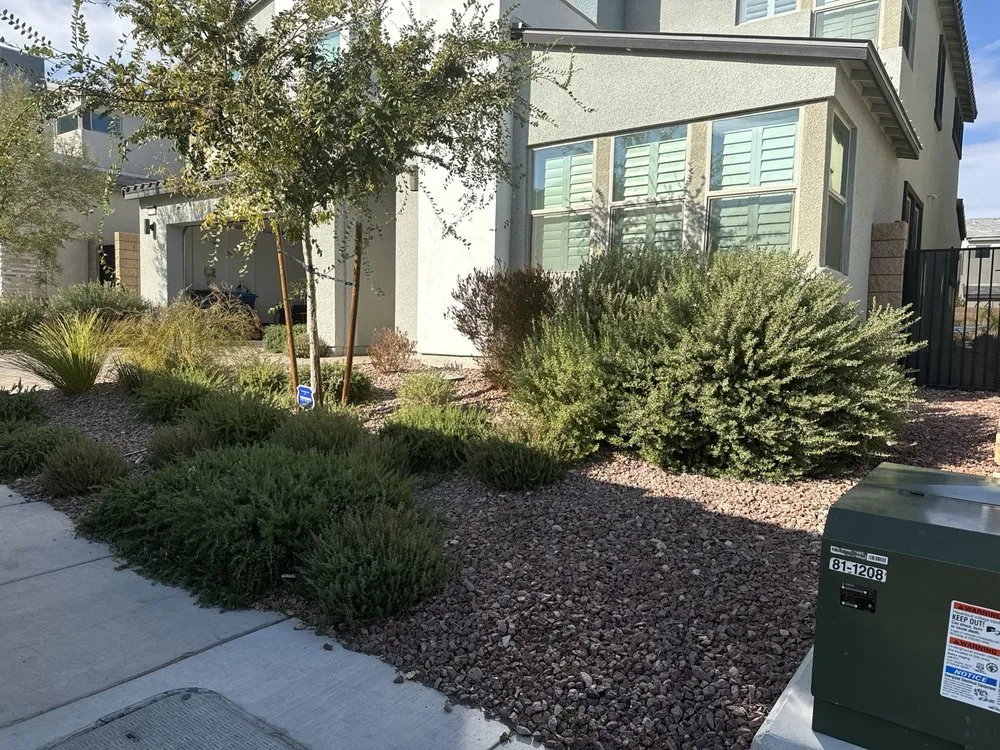 Professional outdoor landscaping in Las Vegas, NV - Greenscape