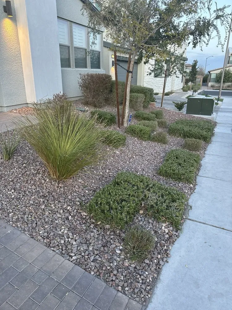Expert landscape design in Las Vegas, NV - Greenscape