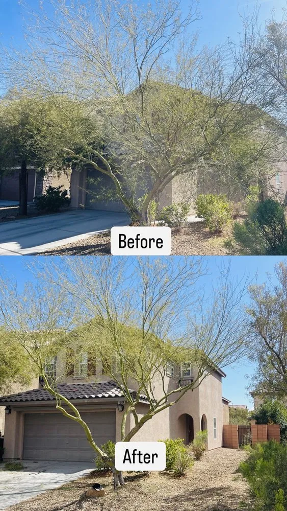 Reliable lawn mowing service experts serving Las Vegas, NV - Greenscape