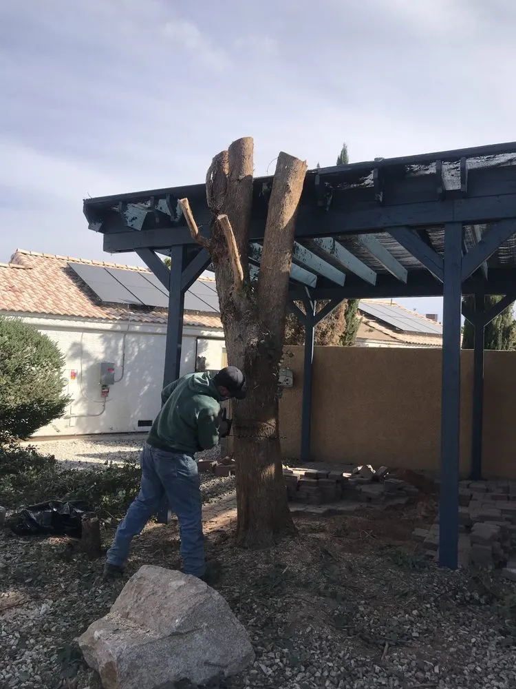 Expert landscape installation in Las Vegas, NV - Greenscape