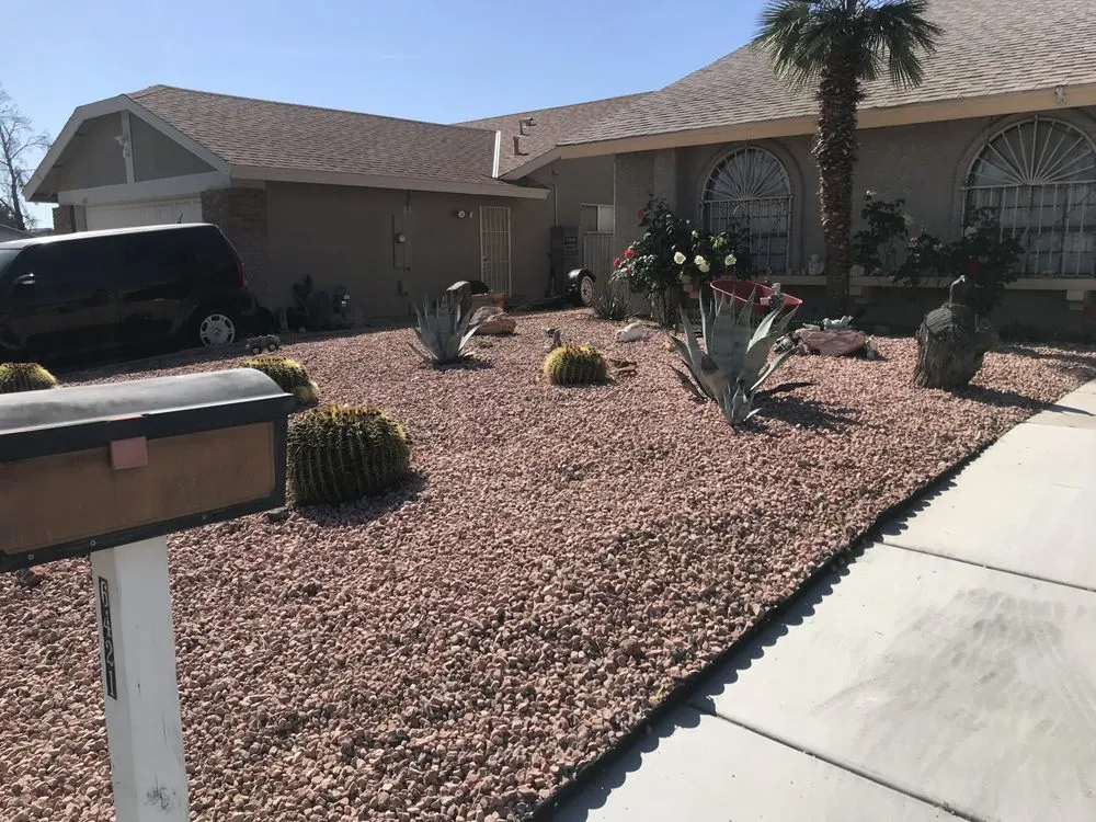 Top-rated yard cleanup service in Las Vegas, NV - Greenscape