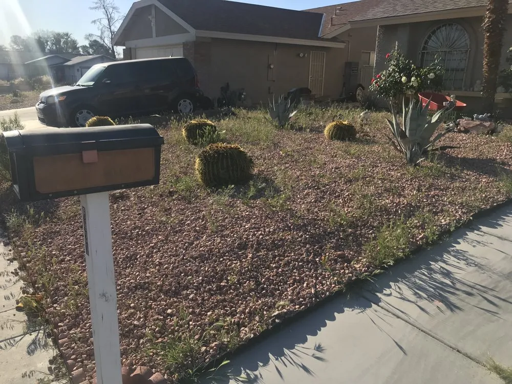 Local yard cleanup service for residential properties across Las Vegas, NV - Greenscape