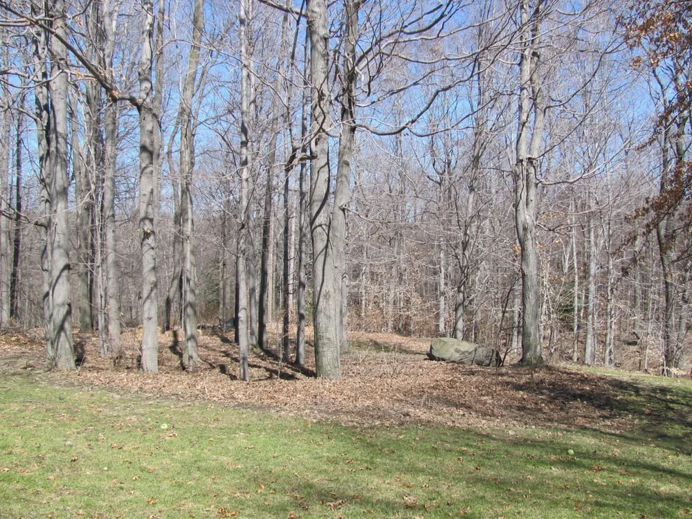 Reliable landscaping services in Girard, PA - Greenscape Lawn And Garden Service