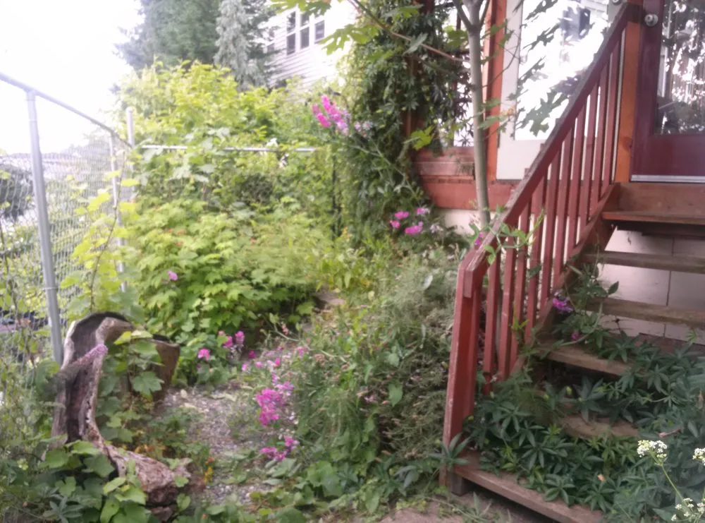 Local outdoor landscaping for year-round maintenance in SeaTac, WA by Greenscape Lawn and Property Care