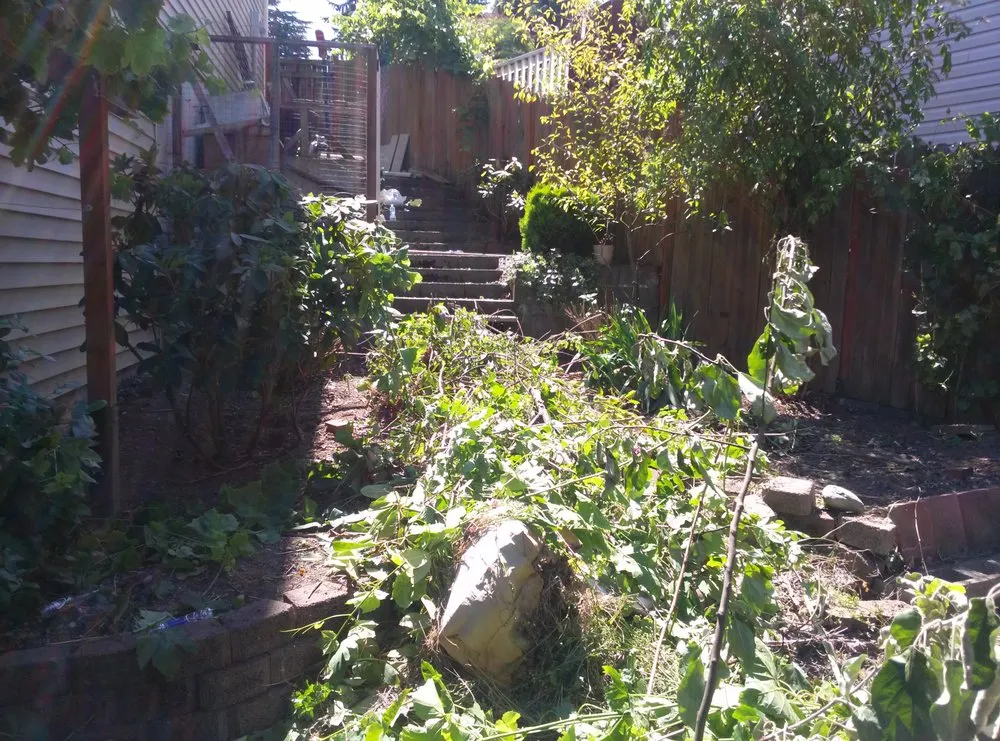 Expert landscaping services near you across SeaTac, WA - Greenscape Lawn and Property Care