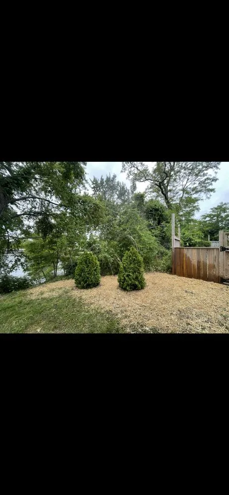 Professional outdoor landscaping in Stratford, CT - Greenscape Lawn Care