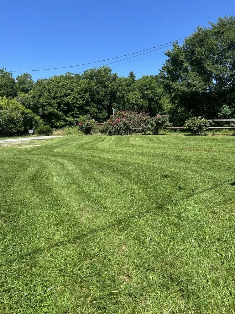 Local landscape design experts serving Sanford, NC - Greenscape Lawncare