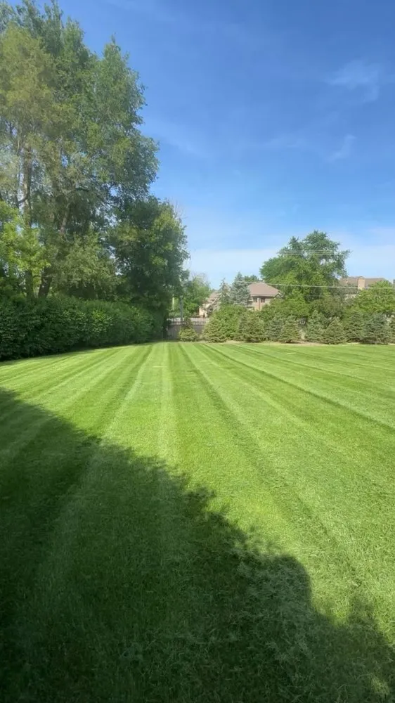 Reliable outdoor landscaping in South Salt Lake, UT by GreenScape LawnCare