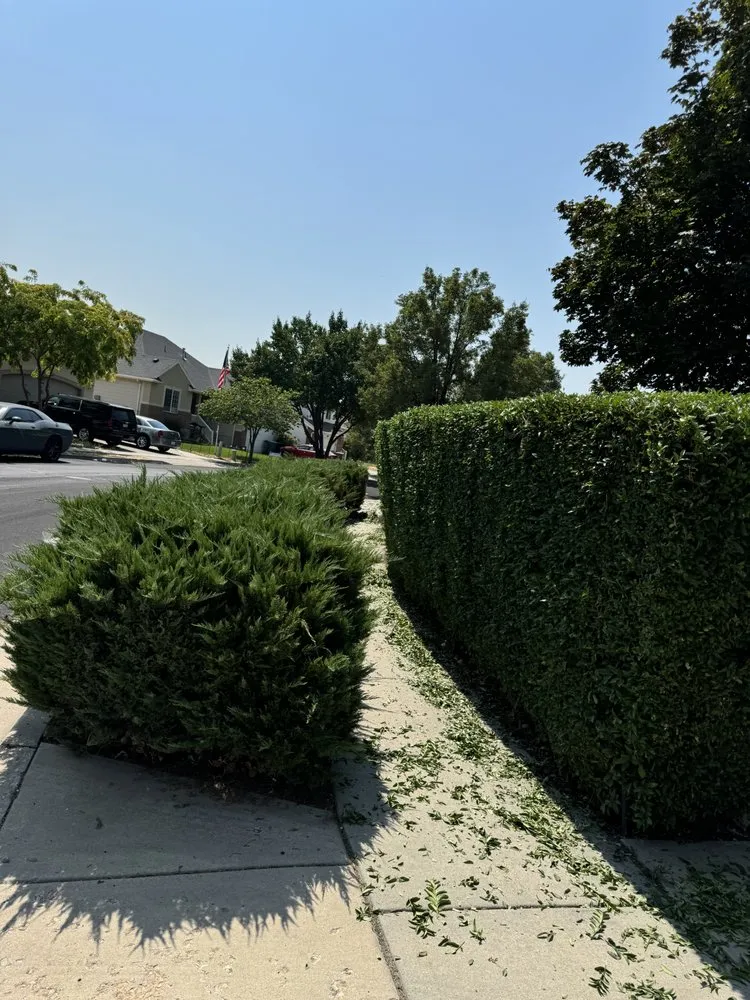 Reliable garden landscaping in South Salt Lake, UT by GreenScape LawnCare