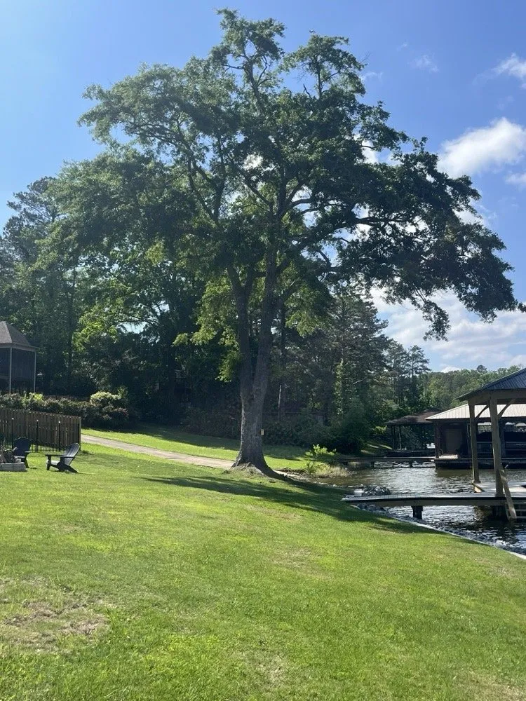 Custom landscaping services in Chelsea, AL - Greenscape Management