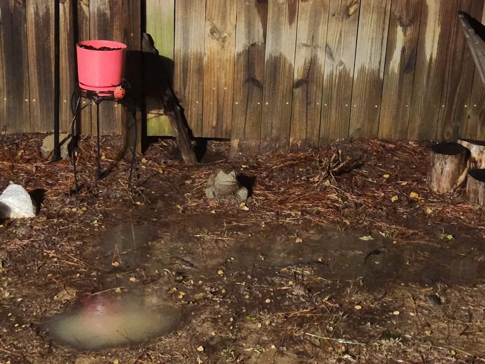 Trusted lawn care service for outdoor upgrades in Chelsea, AL by Greenscape Management