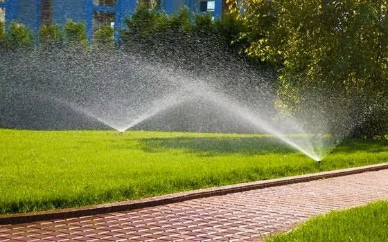 Professional yard maintenance experts serving Chelsea, AL - Greenscape Management