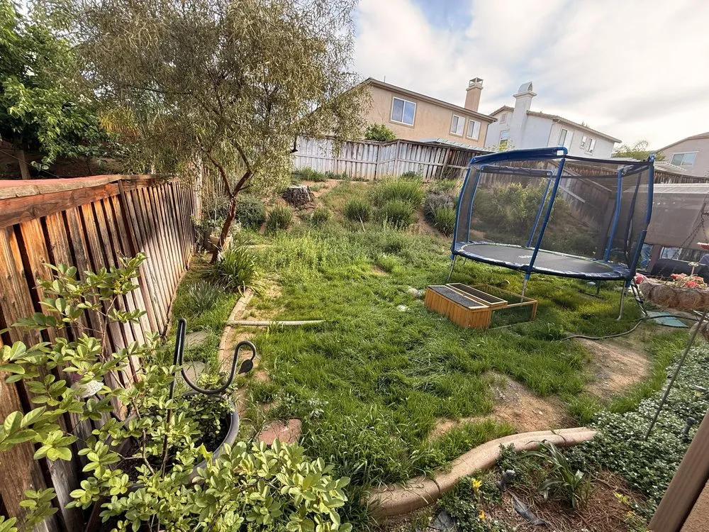 Reliable landscape installation in Mentone, CA - Greenscape