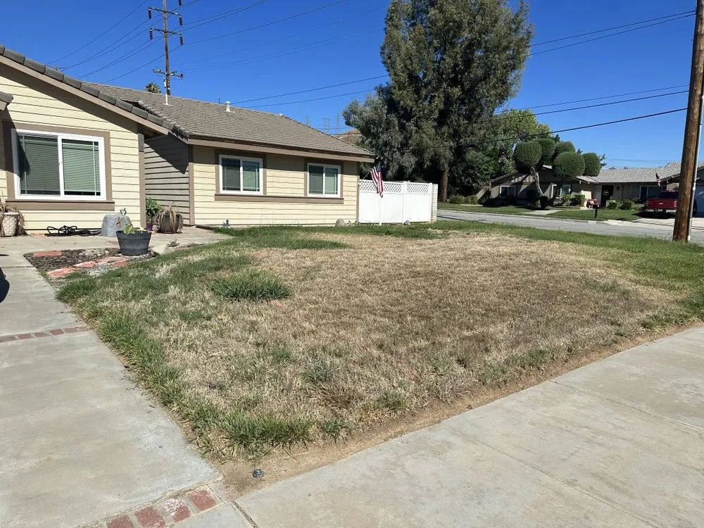 Affordable yard cleanup service in Mentone, CA by Greenscape