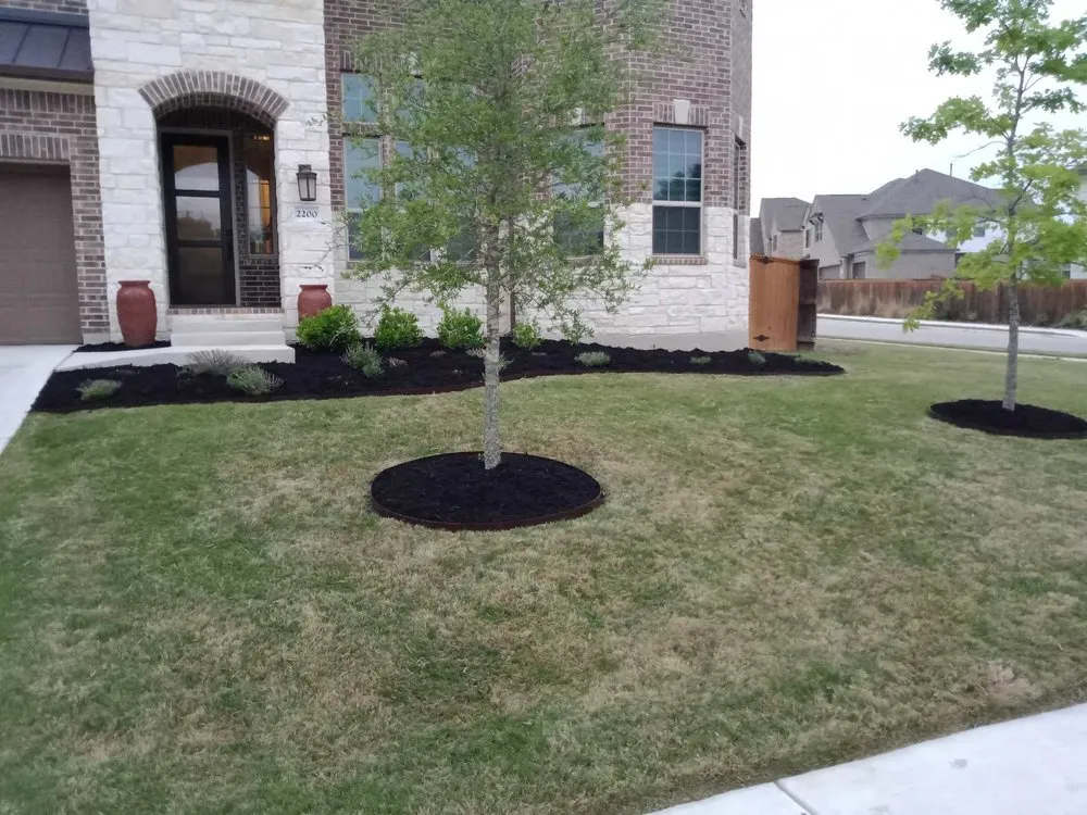 Trusted yard cleanup service in Round Rock, TX - Greenscape Outdoor