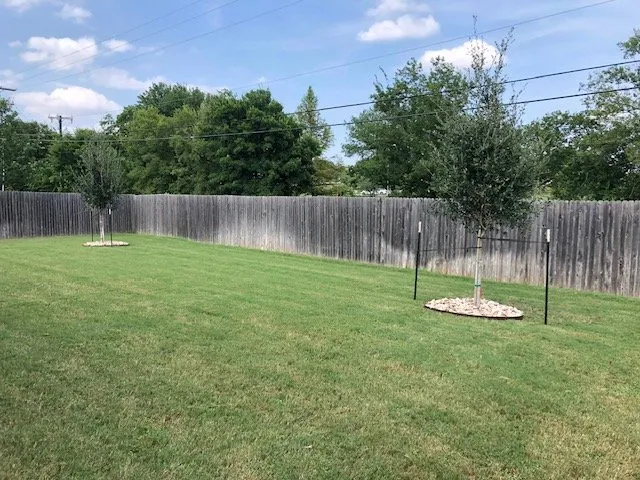 Trusted landscaping services in Round Rock, TX - Greenscape Outdoor