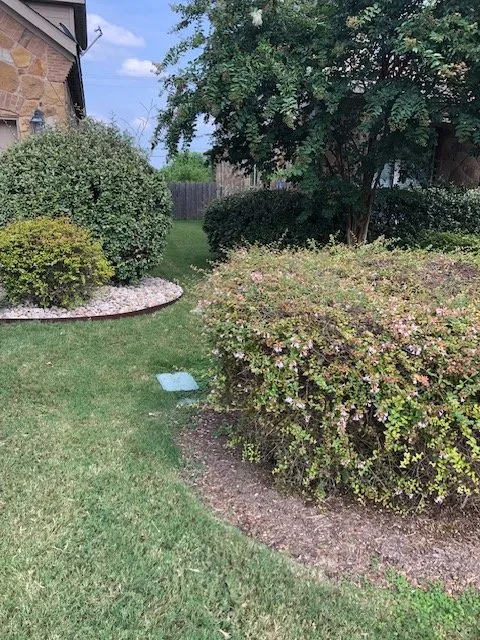 Professional yard cleanup service in Round Rock, TX - Greenscape Outdoor