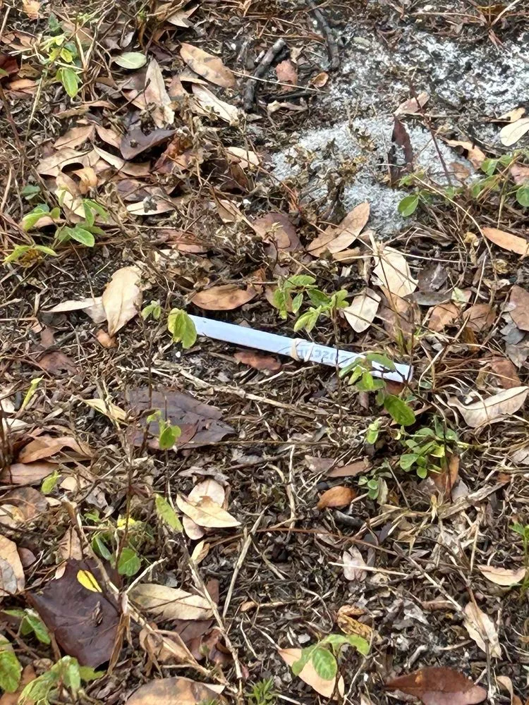 Top-rated landscape installation experts serving Edgewater, FL - Greenscape Outdoor Services