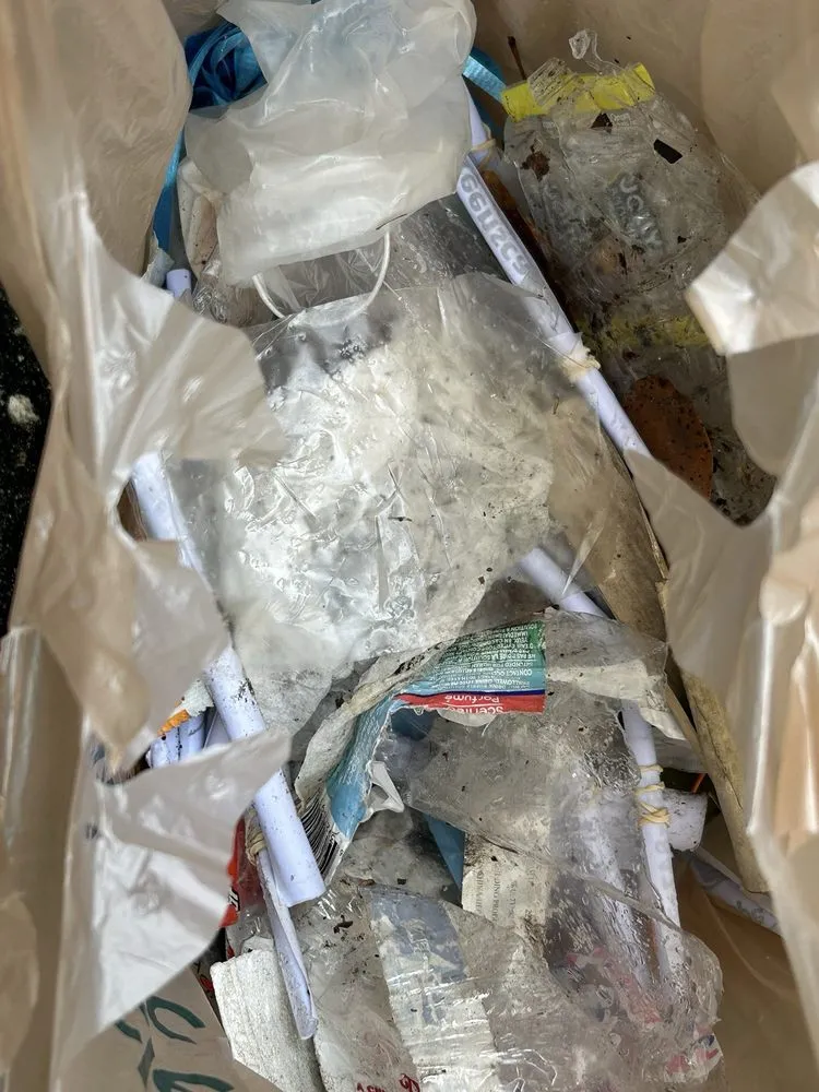 Expert lawn mowing service in Edgewater, FL - Greenscape Outdoor Services