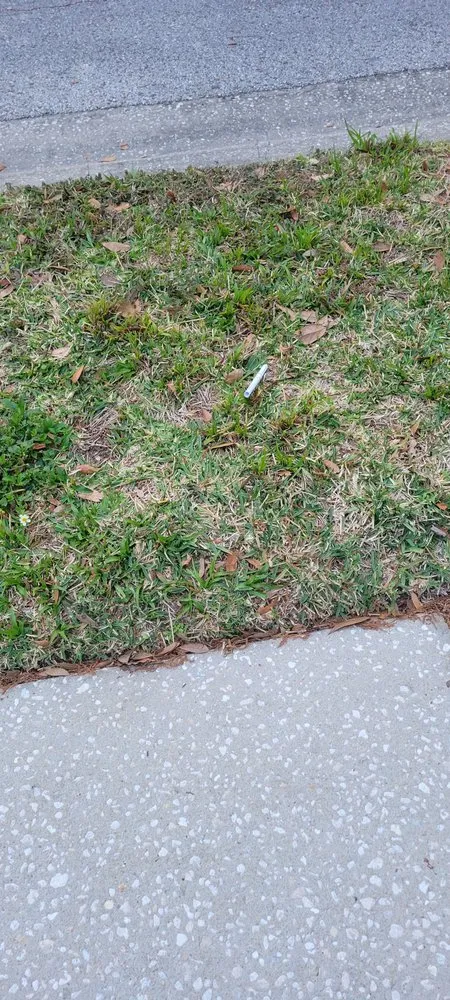 Reliable landscape installation in Edgewater, FL by Greenscape Outdoor Services