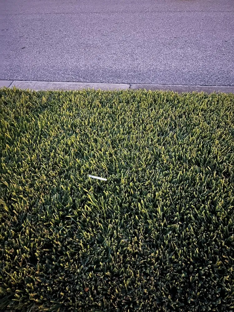 Affordable outdoor landscaping experts serving Edgewater, FL - Greenscape Outdoor Services