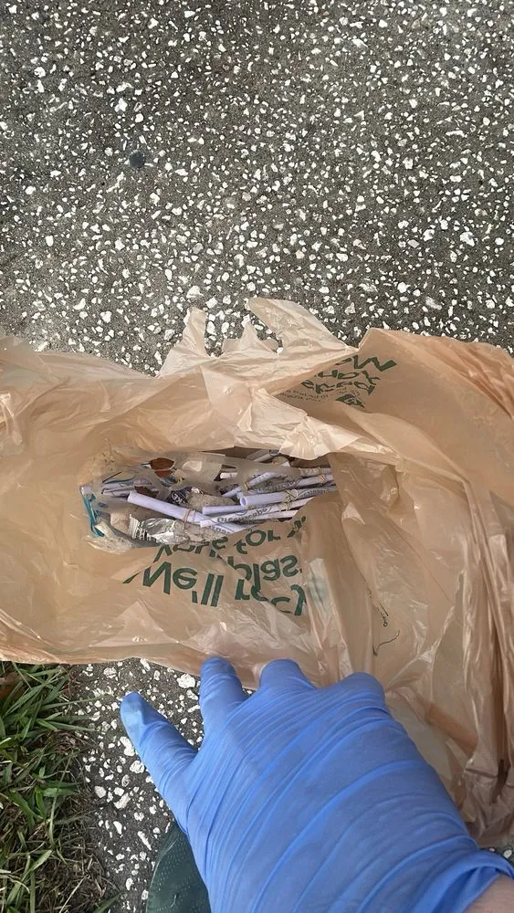 Reliable landscaping services experts serving Edgewater, FL - Greenscape Outdoor Services