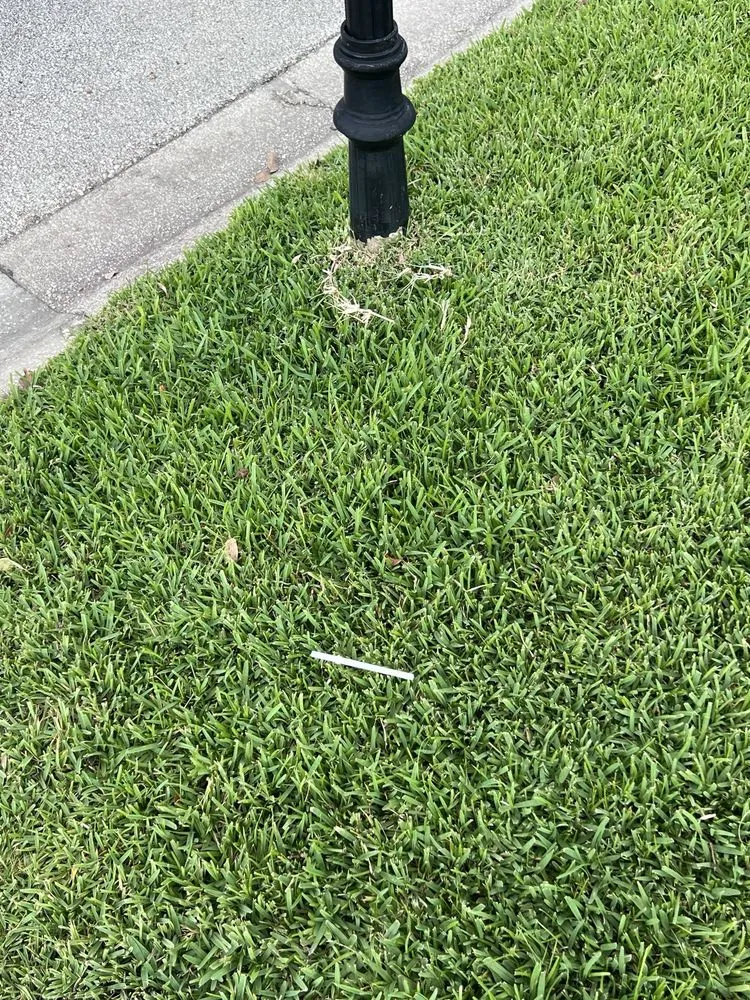 Expert landscape installation in Edgewater, FL by Greenscape Outdoor Services