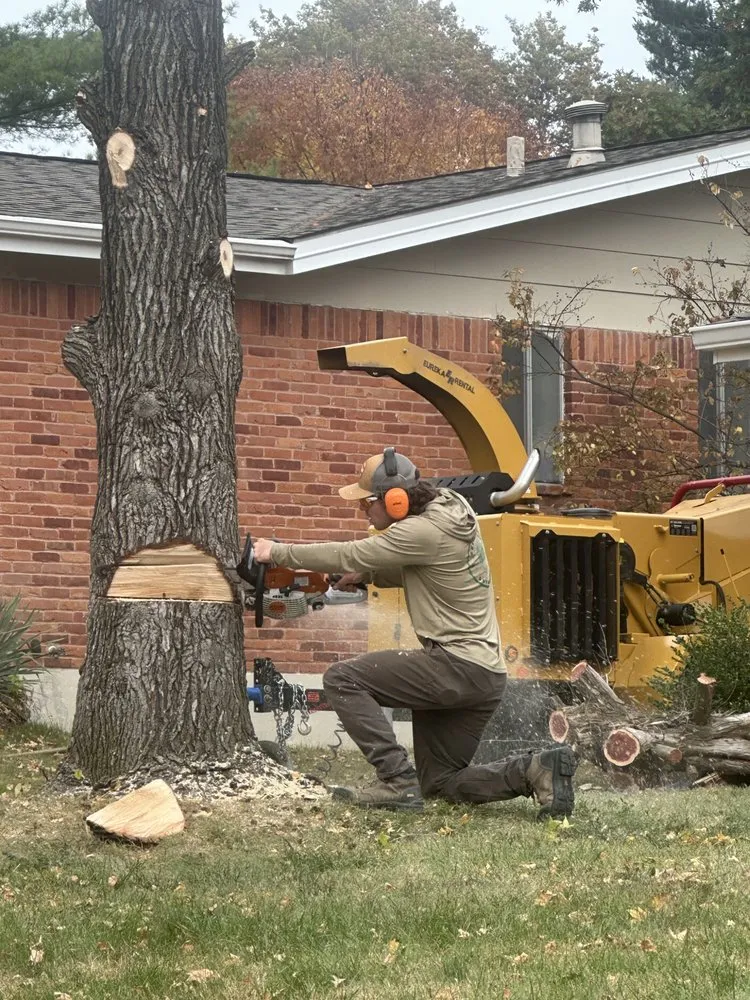 Top-rated garden landscaping experts serving Ellisville, MO - Greenscape Outdoors