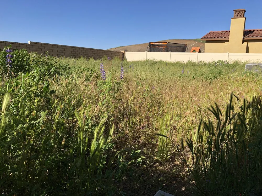 Top-rated yard maintenance in Lake Elsinore, CA by Greenscape Projects 951