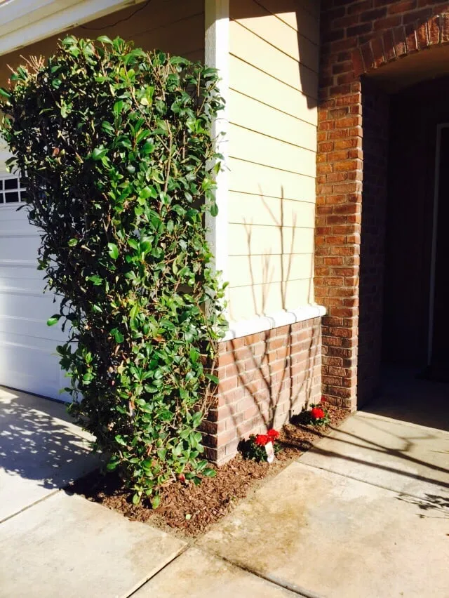 Expert lawn mowing service in Lake Elsinore, CA - Greenscape Projects 951