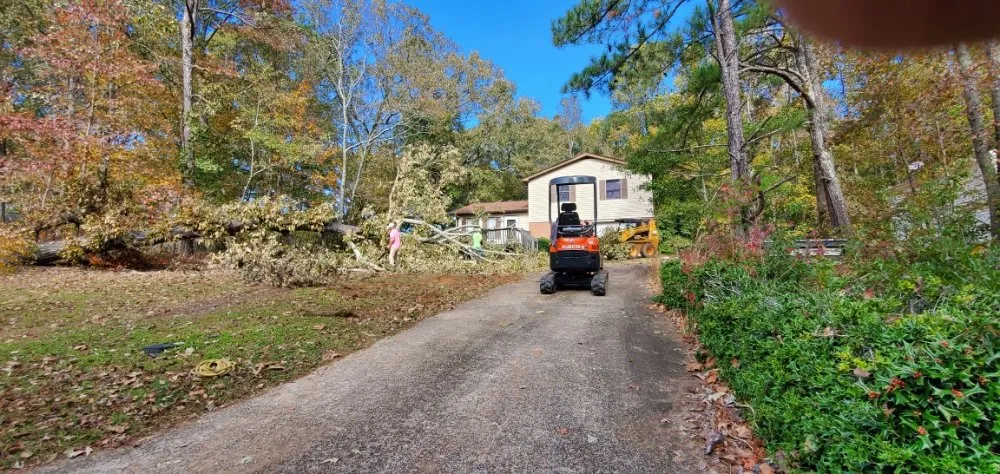 Affordable garden landscaping experts serving Villa Rica, GA - Greenscape Select