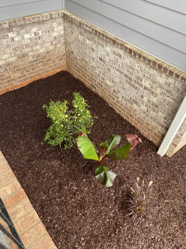 Affordable lawn care service near you across Blythewood, SC - Greenscape Services of SC