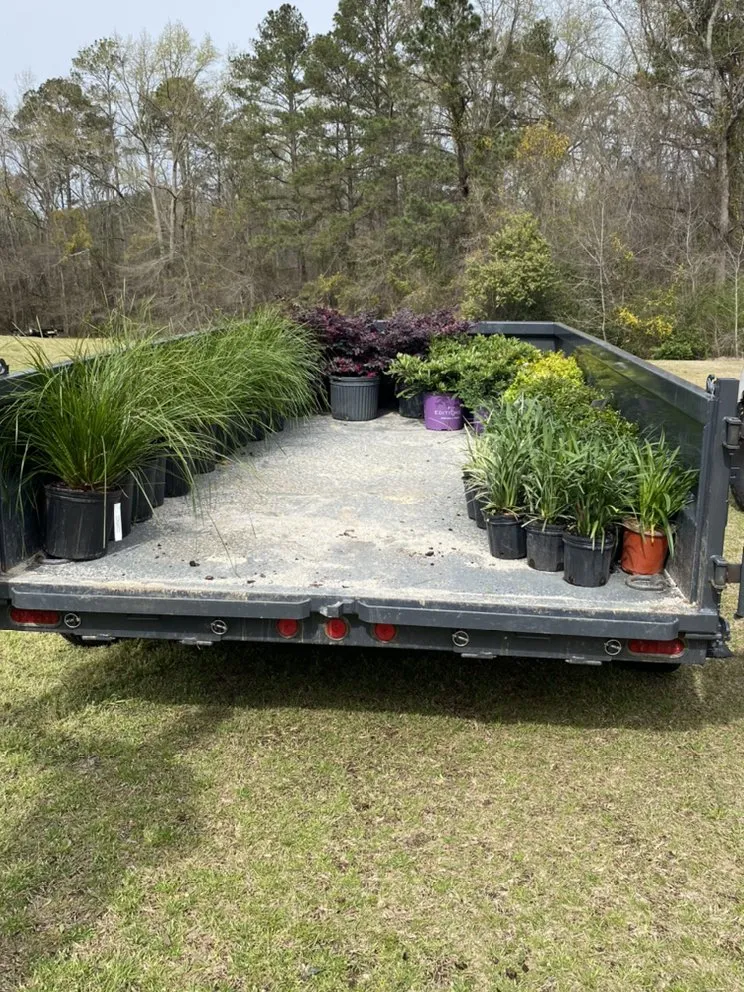 Professional yard cleanup service in Blythewood, SC by Greenscape Services of SC