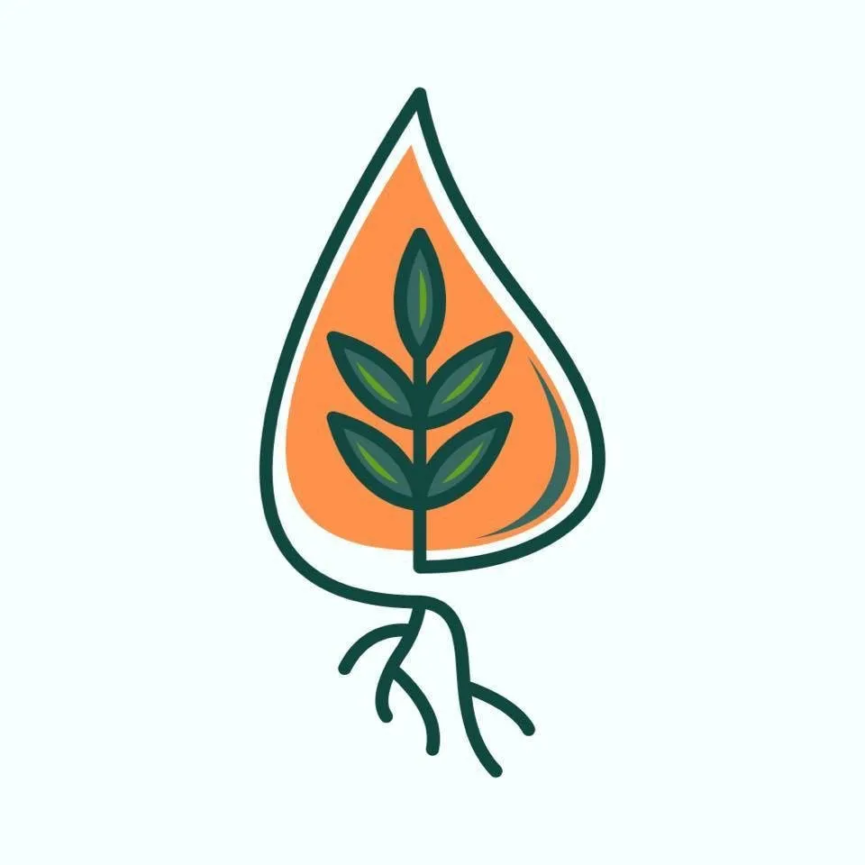 Expert landscape design in Blythewood, SC - Greenscape Services of SC