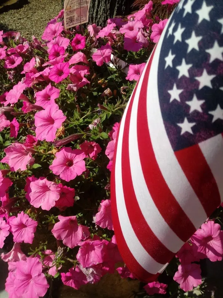 Custom landscaping services in Springfield, MI by Greenscape Services