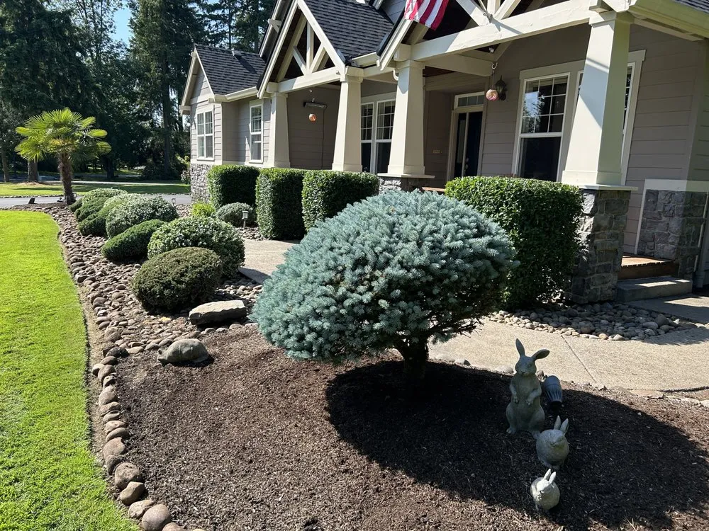 Professional yard cleanup service in Chelan, WA by Greenscape Solutions Landscaping