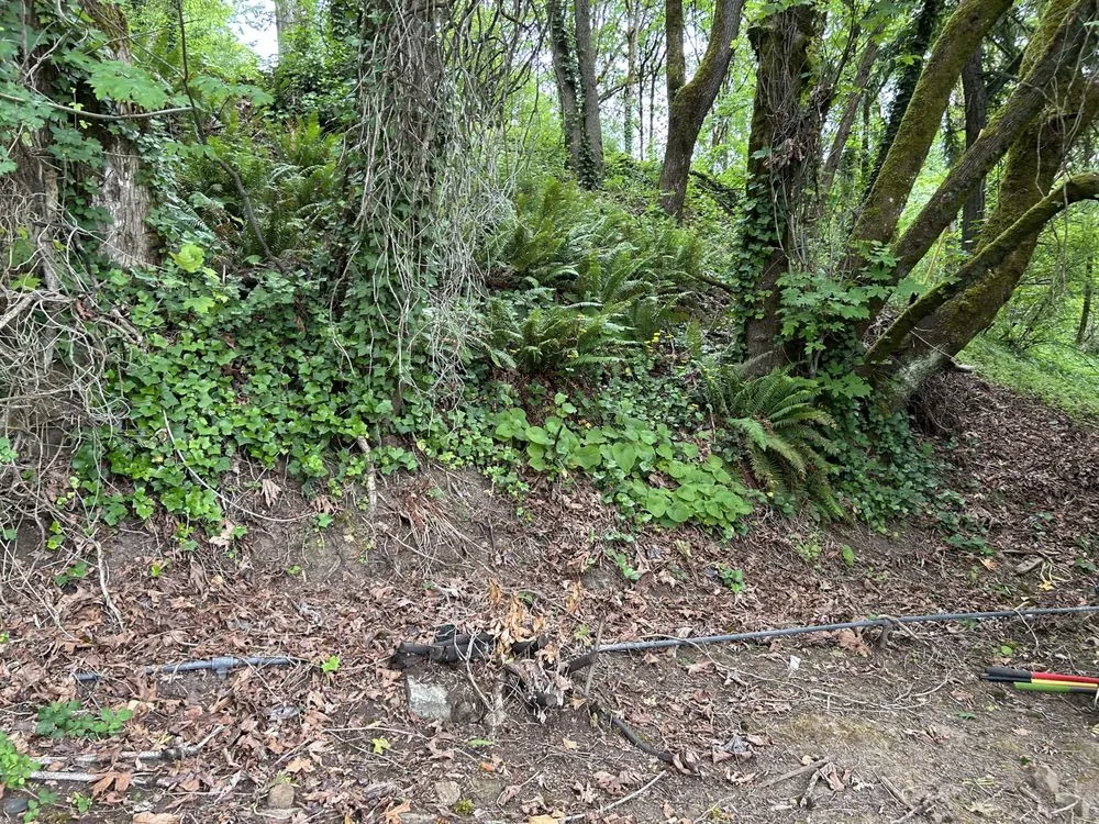 Top-rated landscape installation in Chelan, WA by Greenscape Solutions Landscaping