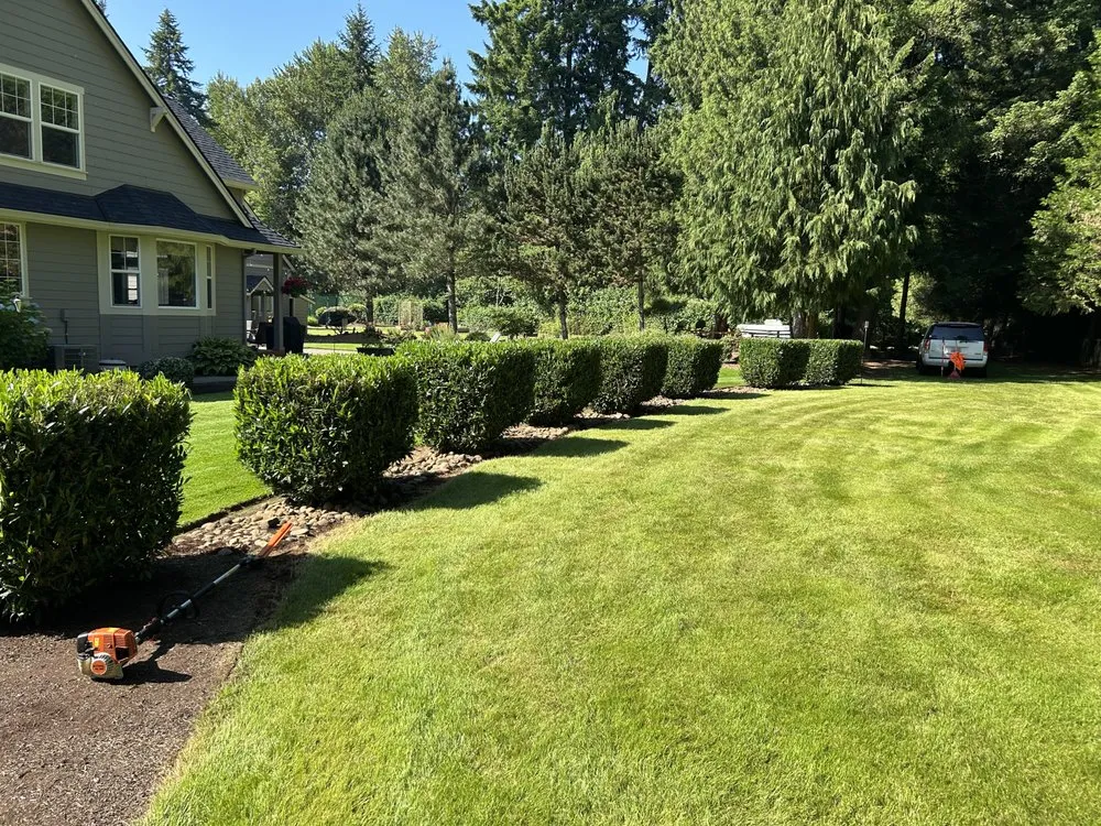 Custom yard cleanup service in Chelan, WA by Greenscape Solutions Landscaping