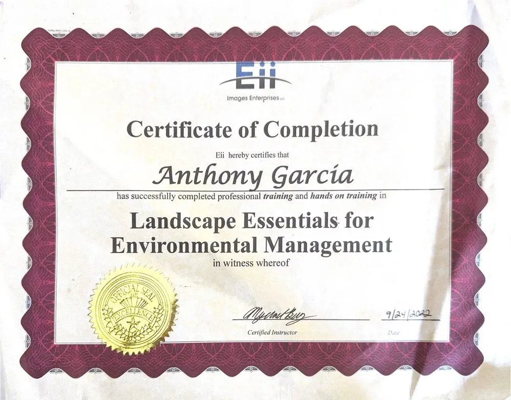 Affordable landscape installation in Tucson, AZ by Greenscape Solutions