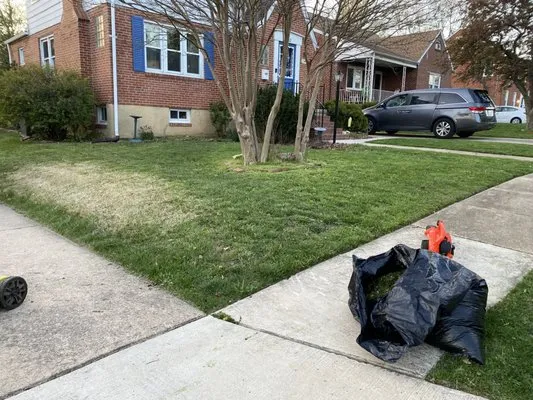 Greenscapes by issac