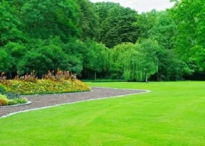 Trusted yard cleanup service experts serving Columbus, GA - Greenscapes Columbus GA