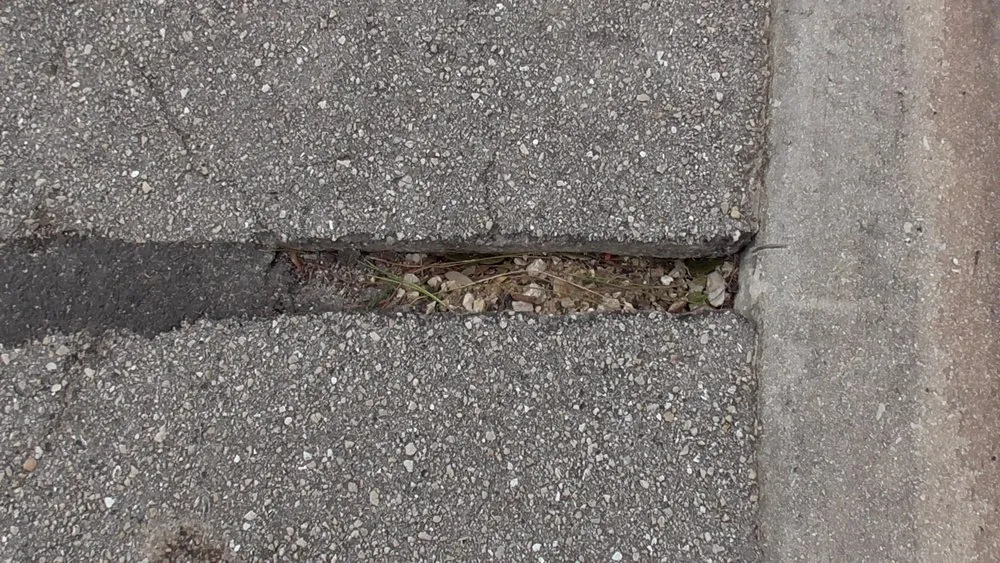 Reliable yard maintenance in Fort Myers, FL by Greenscapes