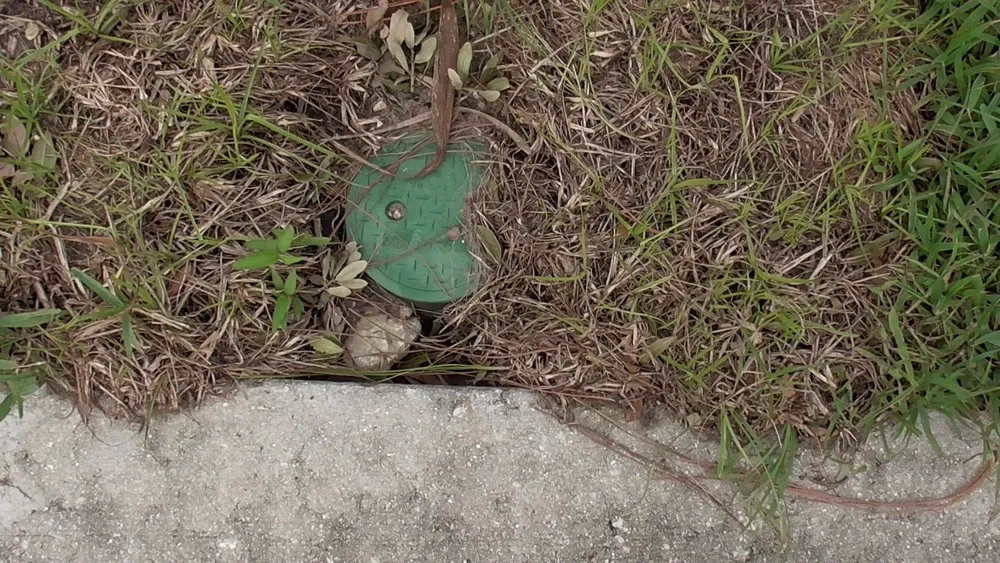 Expert lawn mowing service in Fort Myers, FL by Greenscapes