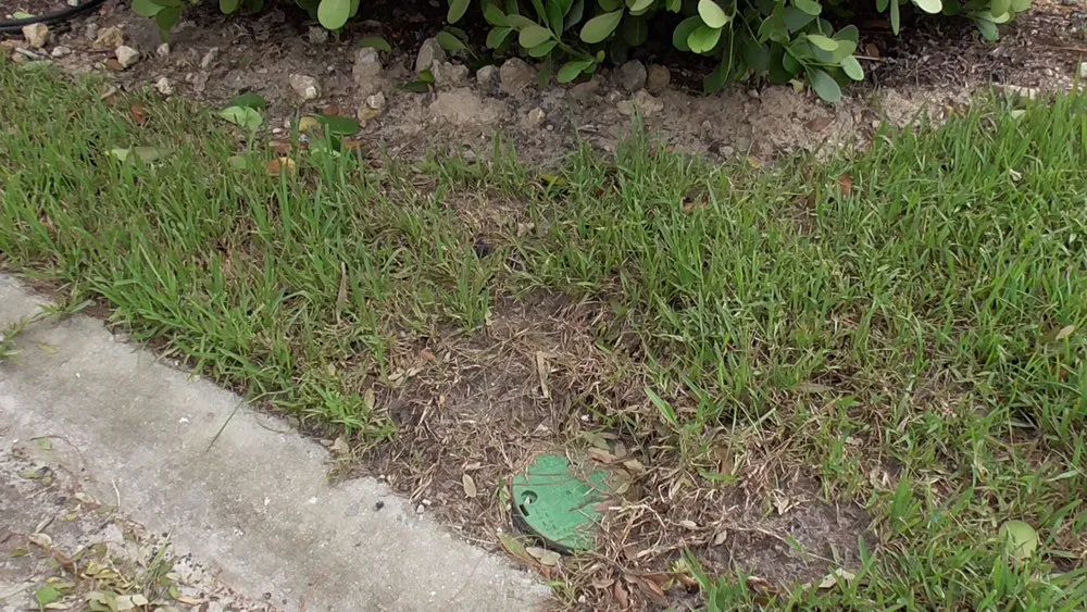 Custom landscape installation in Fort Myers, FL by Greenscapes