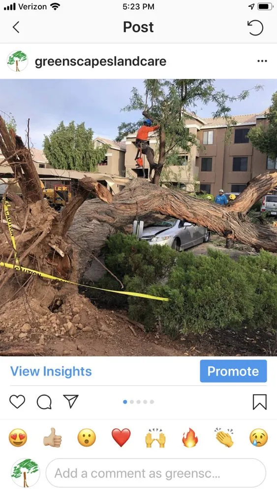 Local lawn care service near you across Phoenix, AZ - Greenscapes Landcare